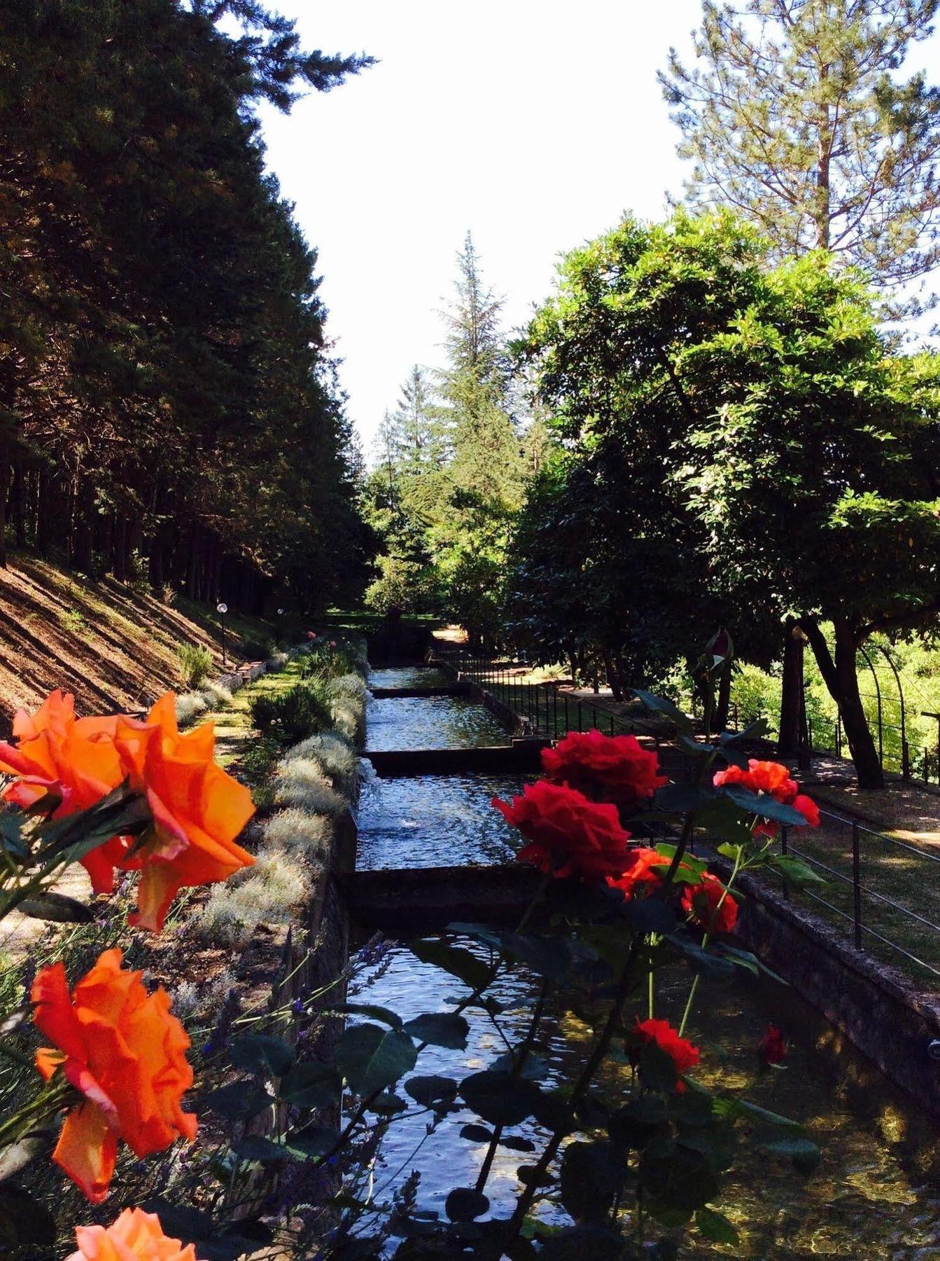 ホテル Convento Di Acqua Premula セッラーノ エクステリア 写真